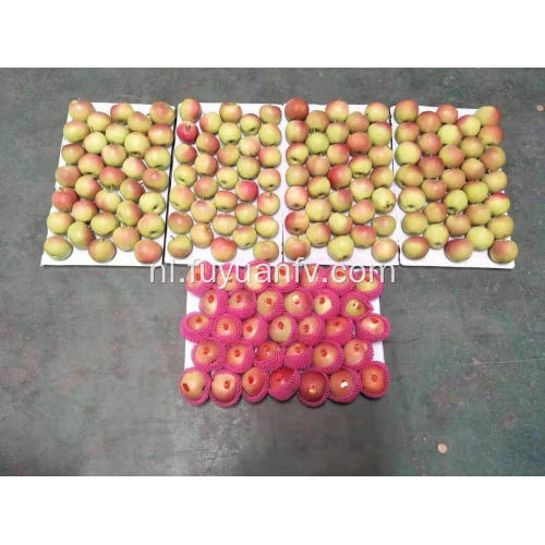 Shannxi Rode Gala-appels